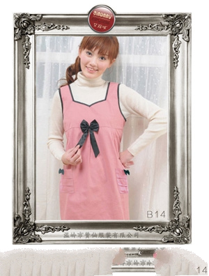 ����������w�S��ݗ��� B1