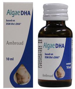 �������ٵľ��¡��p11����ǰ�_����11��8�ՏV����(hu��)չ�^C�^(q��)����