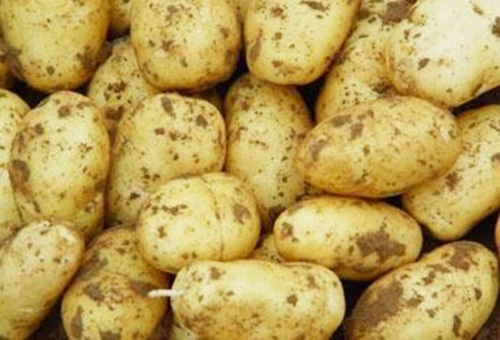 �ЋD���ɶ�����������������L�U